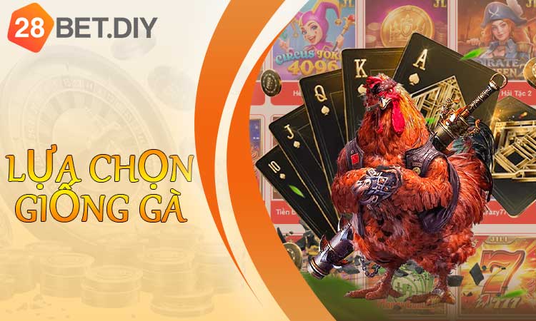 Lựa chọn giống gà